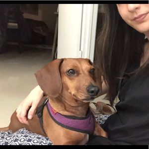 Meet your Posher, Lisandra